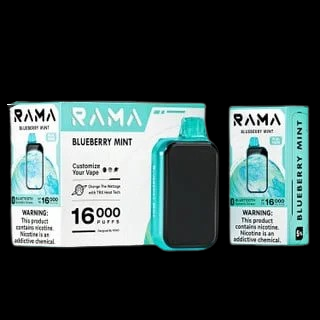 Blueberry Mint – Rama 16000 Puffs